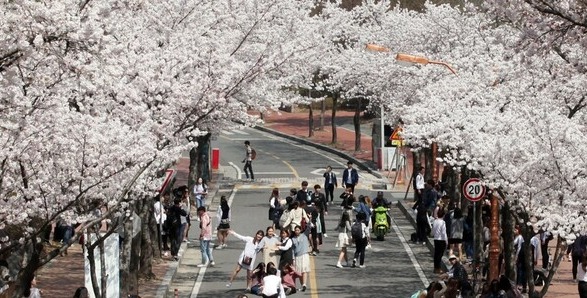 ▲대학교 캠퍼스.(사진출처=연합뉴스)