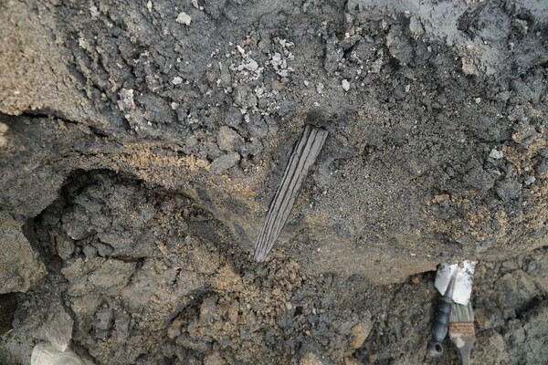  ▲경기 양주시와 기호문화유산연구원은 올해 양주 대모산성에서 진행된 15차 발굴 조사에서 목간(木簡·글씨를 쓴 나뭇조각) 3점과 백제시대에 제작된 것으로 추정되는 토기 등을 확인했다고 20일 밝혔다. 이번 조사는 국가유산청으로부터 예산 8억원을 지원받아 대모산성 내부의 낮은 곳, 즉 하단부로 추정되는 일대를 집중적으로 살폈다. 사진은 '기묘년' 글자가 적힌 목간 출토 당시 모습.(양주시·기호문화유산연구원 제공, 사진출처=연합뉴스)