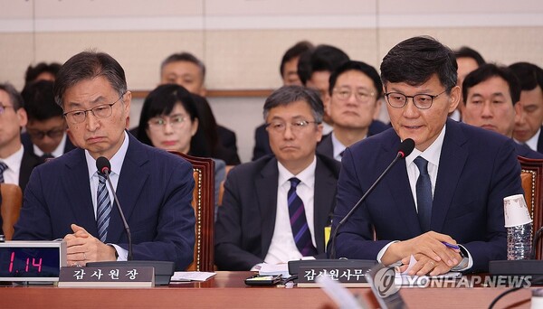  ▲정상우 감사원 사무총장이 10월 16일 서울 여의도 국회에서 열린 감사원 등에 대한 법제사법위원회 국정감사에서 의원 질의에 답하고 있다.(사진출처=연합뉴스)